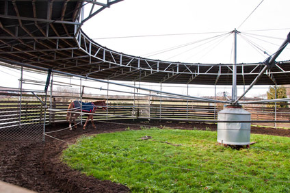 Unsere Führanlage Führanlage in Münster-Hiltrup
