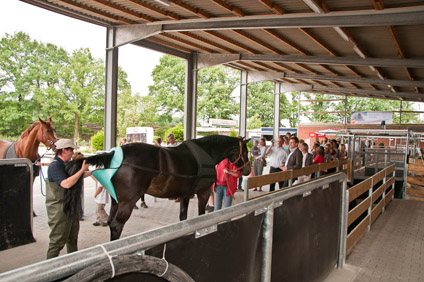 Wasserführanlage in Münster-Hiltrup