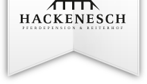 Logo des Reiterhof Hacknesch, Münster